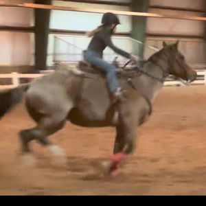 Meet your Posher, Brinn